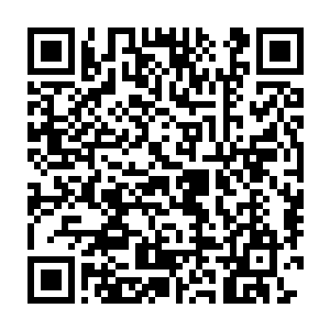 是啊 纯良那可是跟我们从小打到大的 怎么可能被小混混带走一血 二维码生成