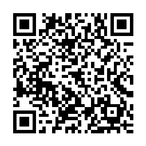 是因为丁羽现在已经不是那么他们可以随心所欲操控的家伙了二维码生成