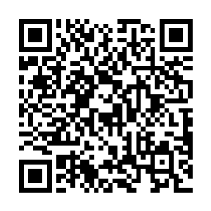 是因为之前那辆迷你厢车更多是在宣传期跑行程来使用二维码生成