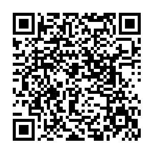 是因为他们很快就要变本加利地把他们所付出的全部从方炎的身上给讨回来二维码生成