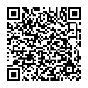 是因为他看到了柳不怨的实力不比他们这一峰的这五位年轻弟子差二维码生成