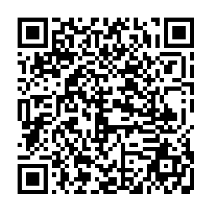 是因为他认为这宠物大约是与他再也无缘了――他这分神是早晚都要灭掉的二维码生成
