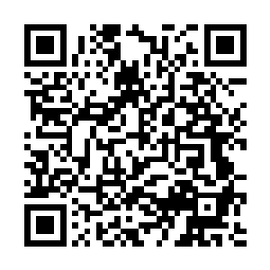 是因为其实他现在的气血已经跌落到半步宗师境界了二维码生成