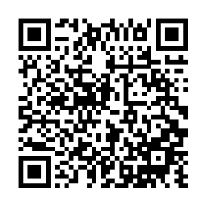 是因为如果把建成的房子看成是建设后结出的果实的话二维码生成