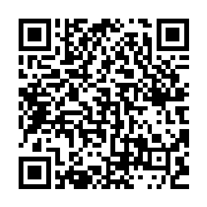 是因为宁远一名叫张茂的军官和他儿子张钦向王献臣揭发检举的二维码生成