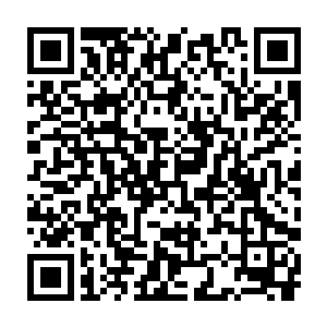 是因为我们站在了一代又一代为人族延续而慷慨赴死的先烈们的肩上二维码生成