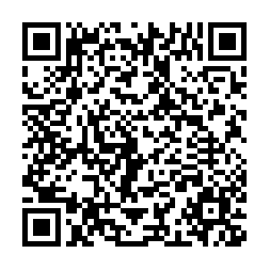 是因为方凌不时的将路边一些用得着的药物放在自己的小乾坤袋里二维码生成