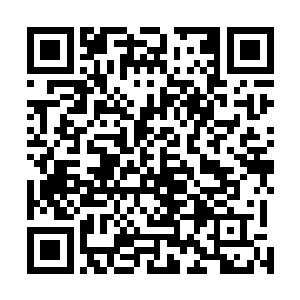 是因为木家的三位长老是和家主木肃风一样都住在北苑的二维码生成