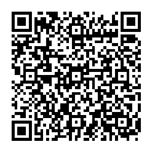 是因为线索是从泽口县公安局原局长吴泽华涉嫌徇私枉法和受贿一案中反映出来的二维码生成