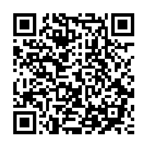 是因为这条大街上有超过一半的房子和商店是格里高利家族的二维码生成