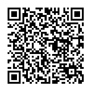 是在中央武力已经完全不堪用的情况下掌握着另外一支强大武力最遭人忌惮二维码生成