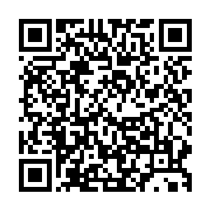 是将自己想要表达的意识硬性塞入对方精神意识海的一种方法二维码生成