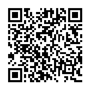 是市公安局奉省厅指令通知明水县委不准免陈观的副局长职务的二维码生成