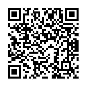 是建立在我们拥有零城这么一个坚不可摧的家园的基础上二维码生成