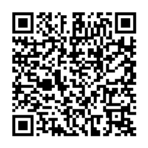 是怕是不知道你如此生气得面容可是比以往那冷冰冰的样子美丽多了二维码生成