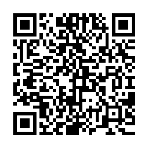 是想尽办法硬撑着才慢慢让整个修行界接受了风云客栈的规矩二维码生成