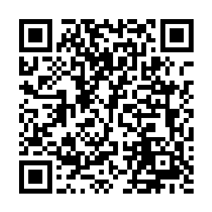 是我们国家的特种部队出动了……你只是随他们一起来的二维码生成