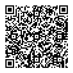 是所有有志于在中国影坛占据一席之地的导演和制片公司们的必争之地即便是狭义上的暑期档二维码生成