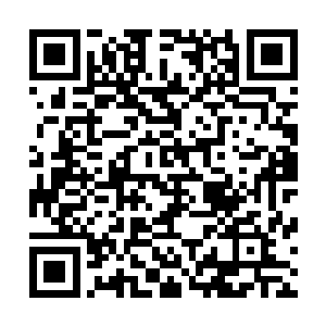 是时候也要让修真界的大家也尝试一下看连载的滋味了……二维码生成