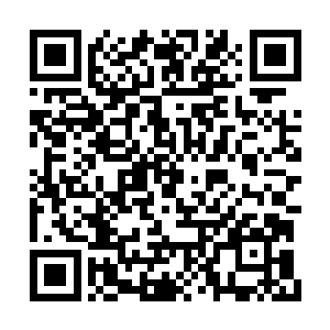 是时候传授给曹珊珊一些修炼功法和战斗功法了二维码生成