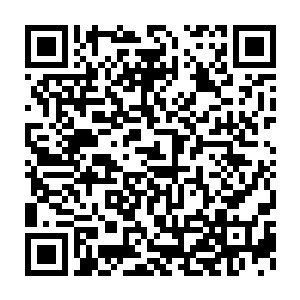 是曾经精灵族的精灵之神利用天堂生命树的一颗破碎树种炼化而成二维码生成