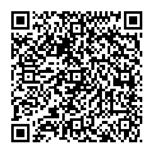 是极东家……妘牧已经设计让稚儿的哥哥们和李天境将殷化一除去了……接下来稚儿会努力让父亲摆脱极东家二维码生成