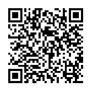 是根据个人或者团队的总积分以及任务完成率来进行排名的二维码生成