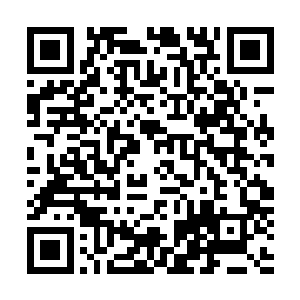 是欧阳伦的祖先经过长期的模仿和捕捉所领悟出来的一道光二维码生成