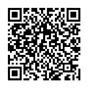 是用一颗大珠和各种形态的米珠镶成的一朵盛开的复瓣海棠二维码生成