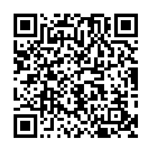 是用什么办法跟这样多的恐怖妖兽和特殊妖兽签订契约的二维码生成