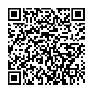 是用猪的边角料与鸡肉连带架子骨研成肉糜混和再加足量淀粉制成二维码生成