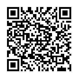 是申庚辰本来已经被注定的人生轨迹得到了彻底的改变二维码生成