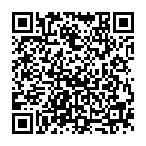 是真凡大世界有记载的神兽之一――――上古异兽乌鲲体内孕育而出二维码生成