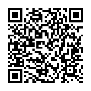 是自远古鸿蒙仙界时代便存在的鸿蒙百圣族之一的大衍族后裔二维码生成