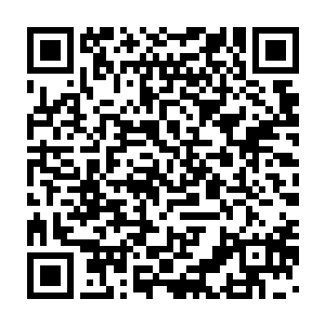 是蕾切尔扮演的伊芙琳和凯文・j・奥康纳扮演的班尼趴在沙滩上的画面二维码生成