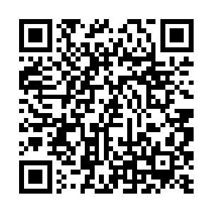 是被人看不起的门派――少门主愿意出借的两派藏书二维码生成