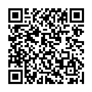 是被神州一号上的电磁轨道炮一炮轰掉的半边母体树二维码生成