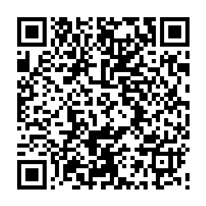是要将自家妖圣最开始的命令一丝不苟的执行下去――――那就是捉住华夏九二维码生成