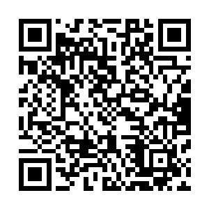 是赵纯良在地火殿里第一次见到的跟正常人类差不多的生物二维码生成