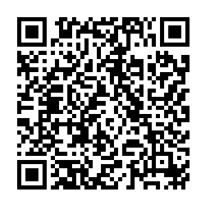 是金乌商团达到一定规模后才有资格从怀远堂的特殊渠道聘请来的二维码生成