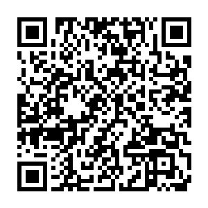 是陈建国那只老狐狸以前在什么犄角旮旯里找的情人生的私生娃儿二维码生成