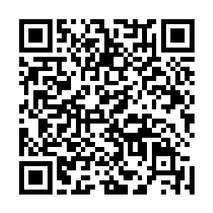 是风门村的那位祖先和我控尸一族的一位老族长签订的合约二维码生成