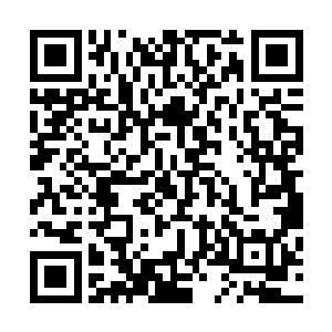 是飞升者无边海和土著神族签署罢战协议后出现的一种东西二维码生成