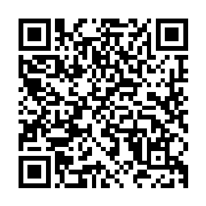 显一件类似山河社稷图的防御性仙宝……这不是自己现在能对付二维码生成