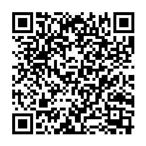 显然两大家族的分部的彻底的毁灭也彻底的激起了两个人心中的怒火二维码生成