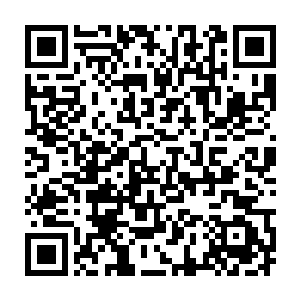 显然也没预留你们两姐弟的位置这么多来自四大家族的刺客都死了二维码生成