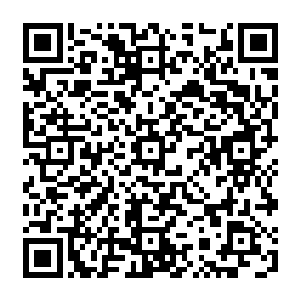 显然他们没有想到在他们眼中能够拯救苗寨的五圣之一在苏凡的手上一招就已经落败二维码生成