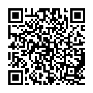 显然他们的信心此时已经被邪灵的强大的实力给彻底的粉碎了二维码生成
