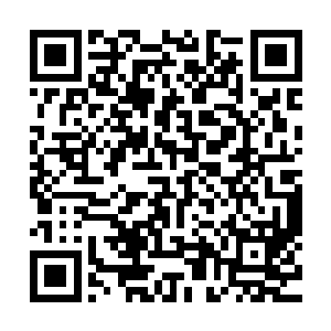 显然他们都被杨戬之前的时候表现出来的强大的实力给震惊了二维码生成