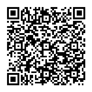 显然到现在也不明白为什么杨戬这么一个神王境界的存在竟然能够爆发出如此恐怖的攻击二维码生成